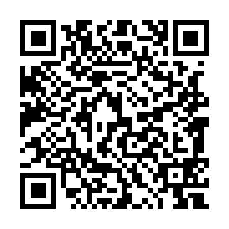 QR code for DXL1981