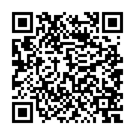 QR code for DYN3438