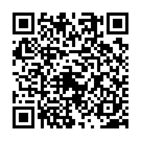 QR code for DYS7236
