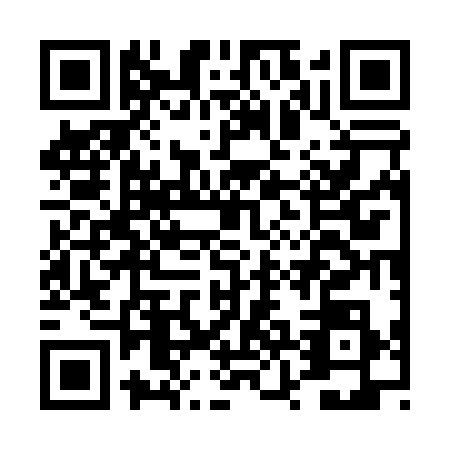 QR code for DZG0384