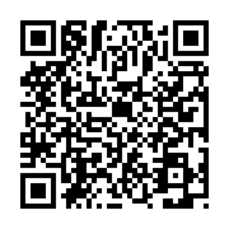 QR code for DZN8384