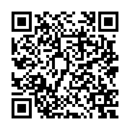 QR code for DZY0375