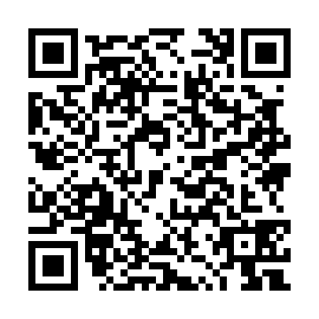 QR code for DZY0388