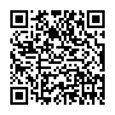 QR code for DZZ2905