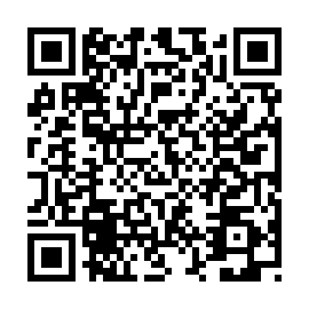 QR code for DZZ9505