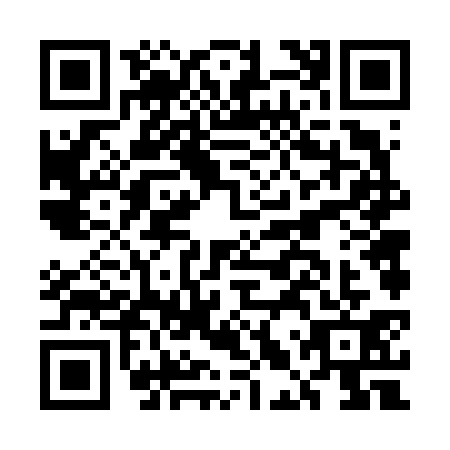 QR code for ELV6313