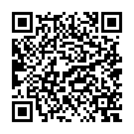 QR code for ESE5161