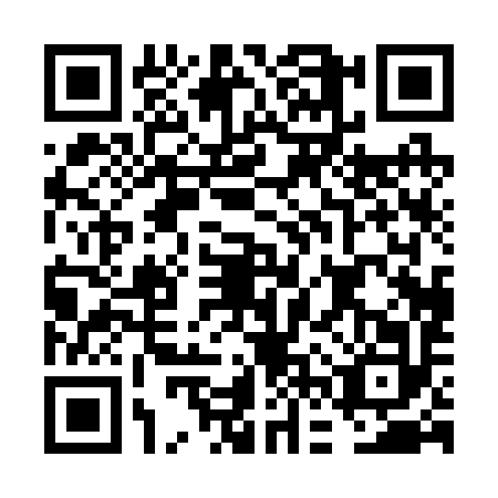 QR code for FFP2929