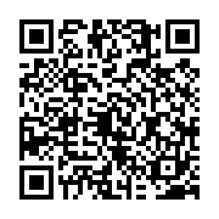 QR code for FFX4733