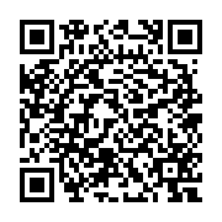 QR code for FLS6578