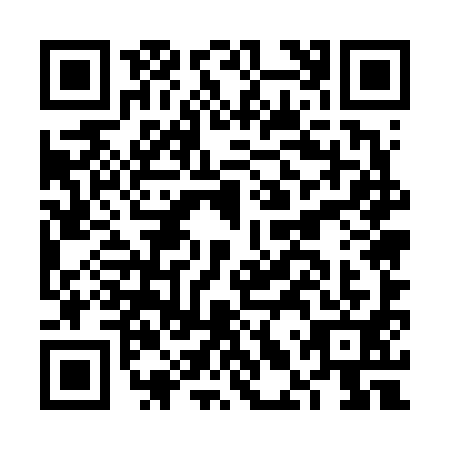 QR code for FLU6911
