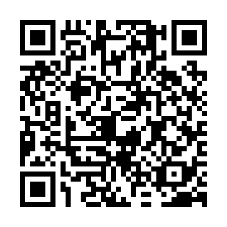 QR code for FNS2386