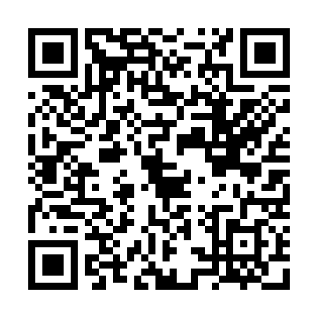 QR code for FST3387
