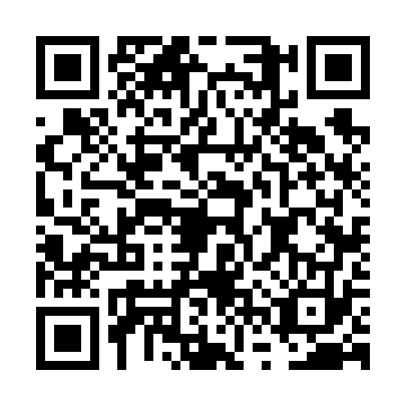 QR code for FVV6736