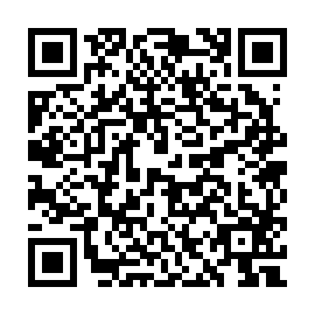 QR code for GIS2863