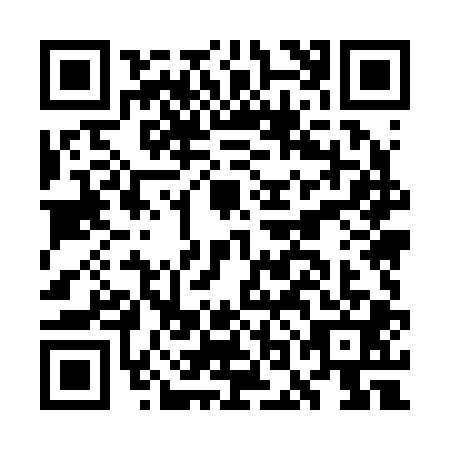 QR code for GOM2011