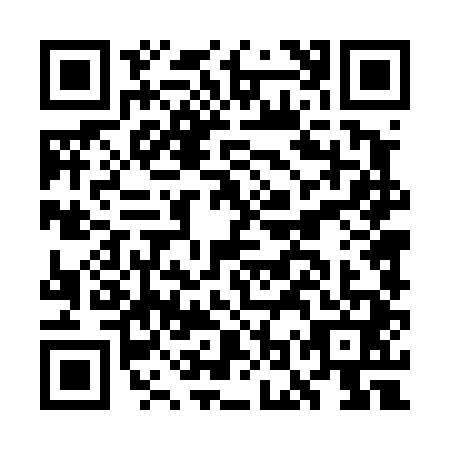 QR code for GOT4411