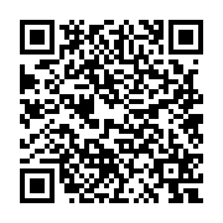 QR code for GSR1253