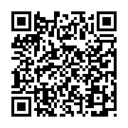 QR code for GTZ0294