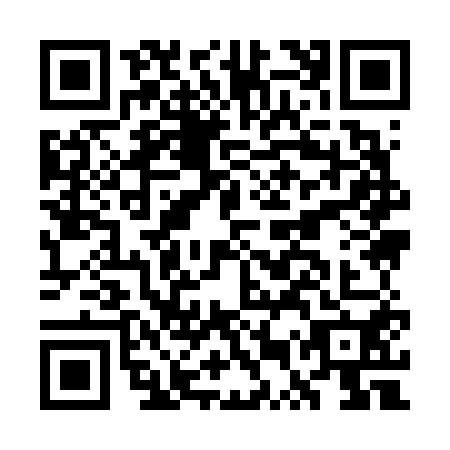 QR code for GUY6509