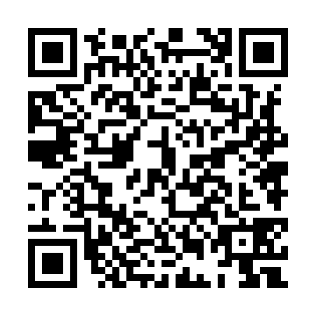 QR code for HEN9385