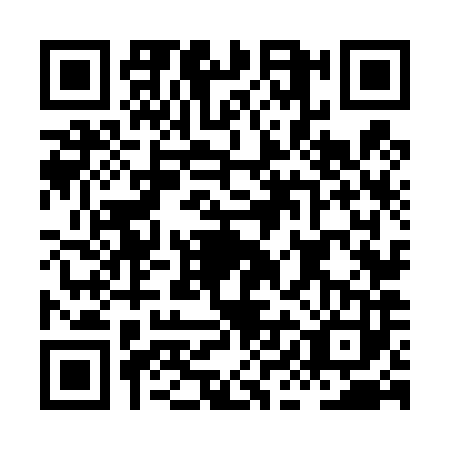 QR code for HIN4838