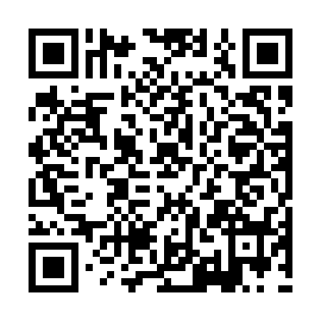 QR code for HIO0384