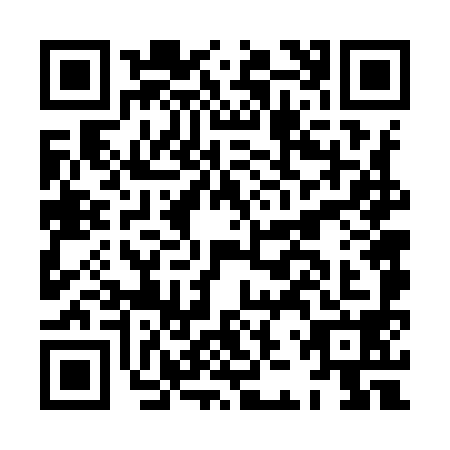 QR code for HJV9981