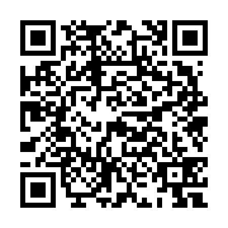 QR code for HKO6393