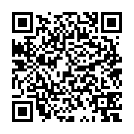QR code for HPS6384
