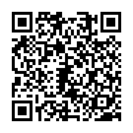 QR code for IAE0699