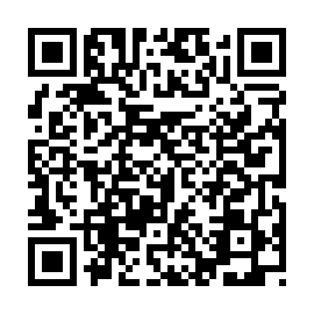 QR code for ICH0497
