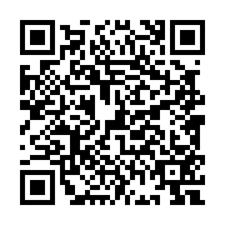 QR code for IGL0538