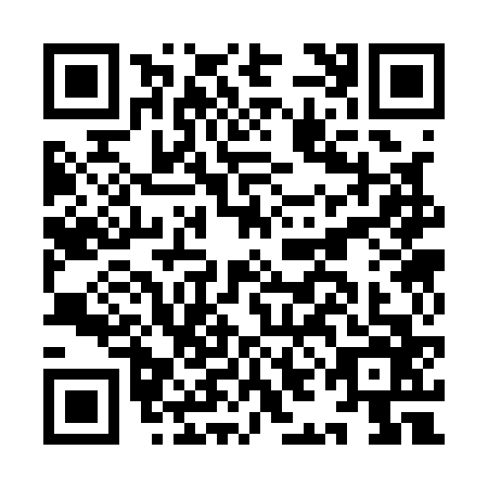 QR code for IIC1668