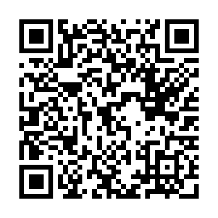 QR code for IIF3383
