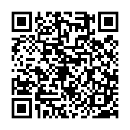 QR code for IIT4434