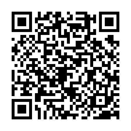 QR code for IIT6732
