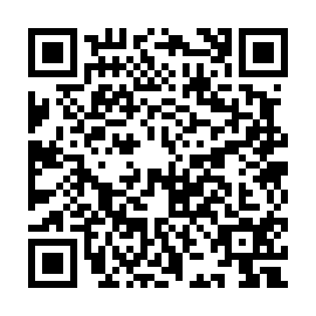 QR code for IJC4141