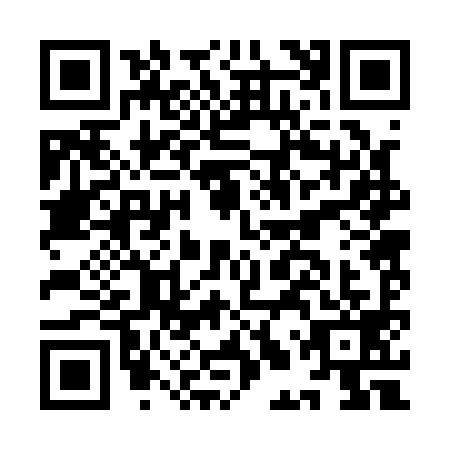 QR code for ILR1996