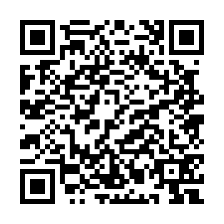 QR code for IMP0729