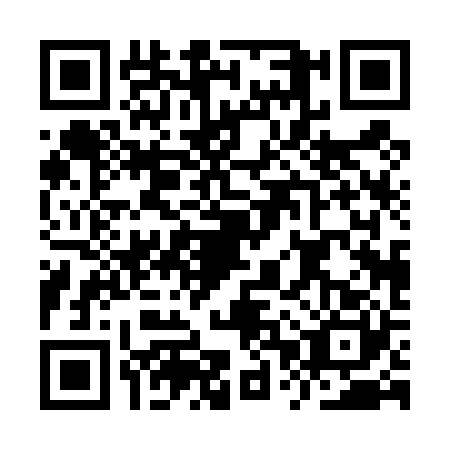 QR code for IPP4201