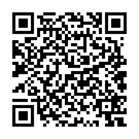QR code for IQV6294