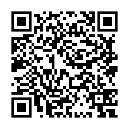 QR code for IRY8396