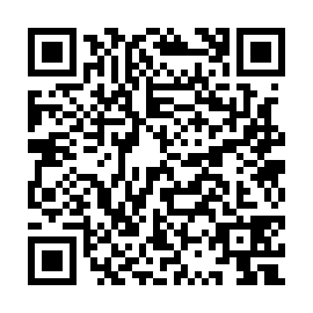 QR code for ISS1385