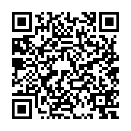 QR code for IVR9196