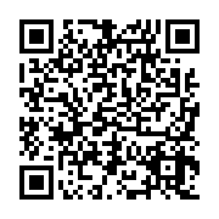 QR code for IYL4389