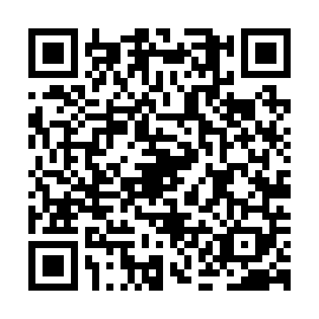 QR code for JAL2497