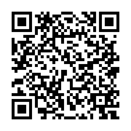 QR code for LAY1529