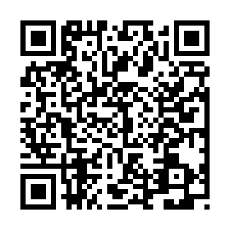 QR code for LDV4335
