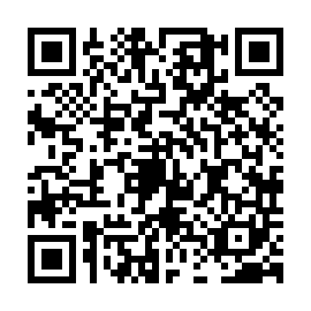 QR code for LDX0413